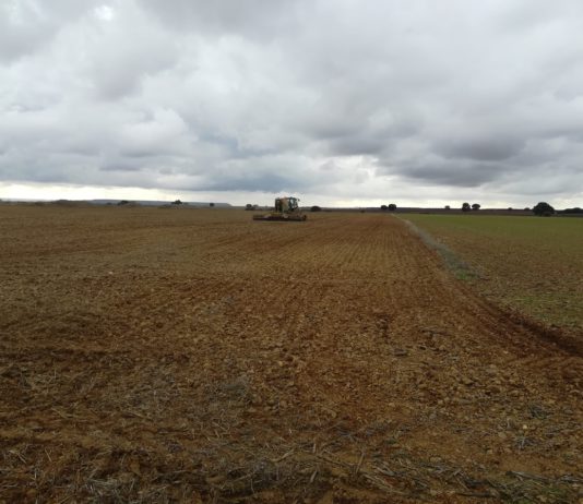 El alto índice de arrendamiento de tierras, una de las debilidades principales de la agricultura de Castilla y León