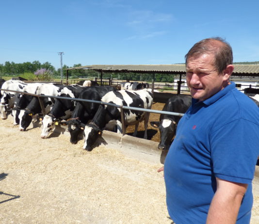 ¡¡OFERTA!! ¡¡Filete de carne humana!!