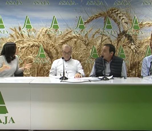 Campo Palentino 5 diciembre 2019