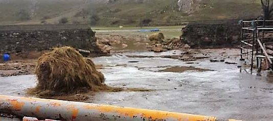 ASAJA Palencia pide al Ministerio que compense las pérdidas provocadas por los desbordamientos