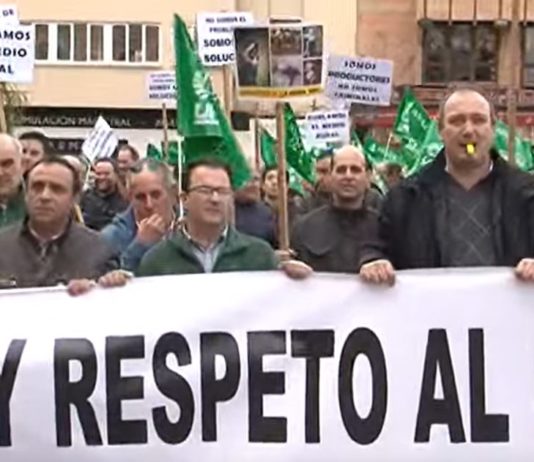 Campo Palentino 30 enero 2020