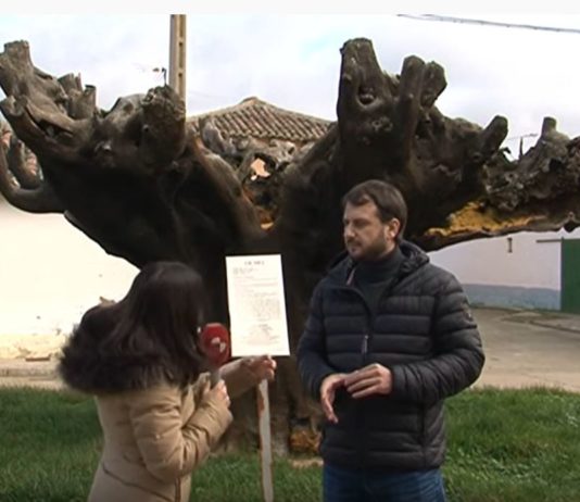 Campo Palentino 13 febrero 2020