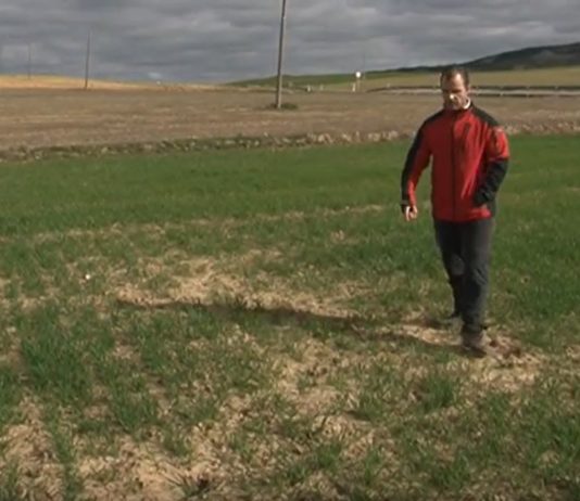 Campo Palentino 20 febrero 2020