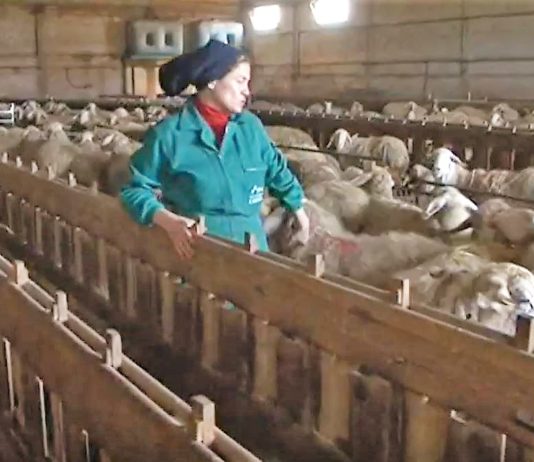 Campo Palentino 5 marzo 2010