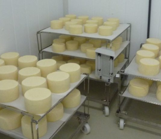 Un estudio asegura que la leche, el yogur y el queso reduce el riesgo de sufrir caídas y fracturas en personas mayores