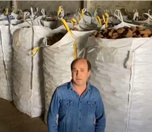 Campo Palentino 16 abril 2020