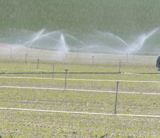 La crisis del Covid-19 posibilita la bajada temporal de potencias del sector agrario