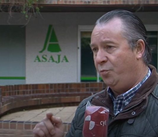 Campo Palentino 30 abril 2020