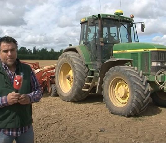 Campo Palentino 7 mayo 2020