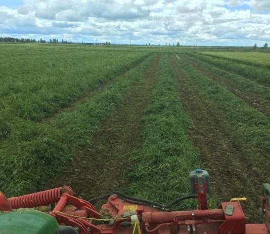 El recorte de Bruselas al campo de Castilla y León: 693 millones en ayudas más lo que se detraiga en la partida de obra pública agraria