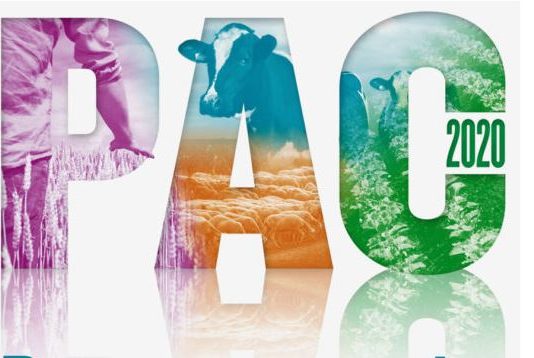 El ministerio confirma la ampliación del plazo para presentar la PAC