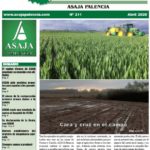 Campo Palentino abril 2020