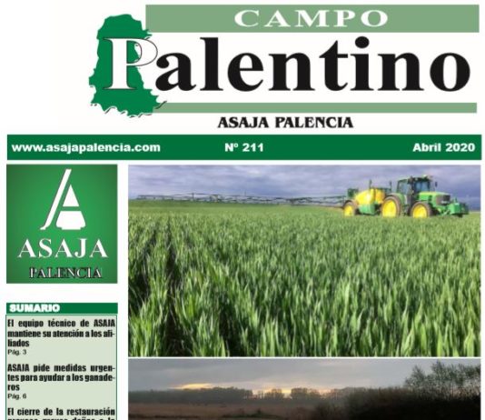 Campo Palentino abril 2020