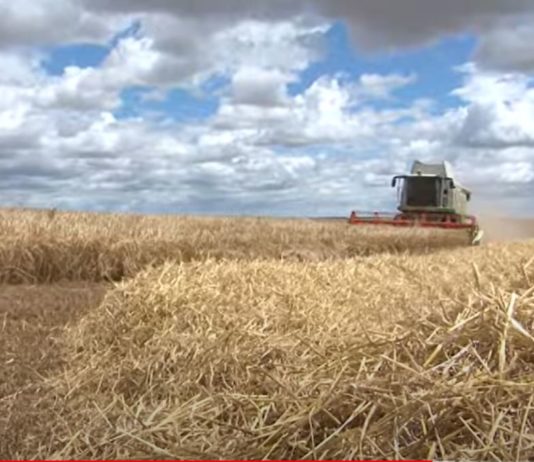 Campo Palentino 18 junio 2020