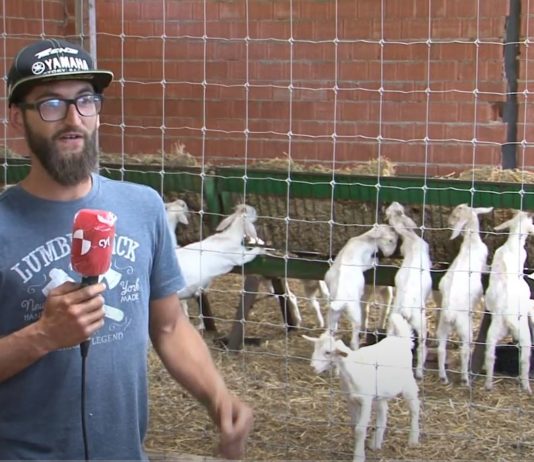 Campo Palentino 25 junio 2020