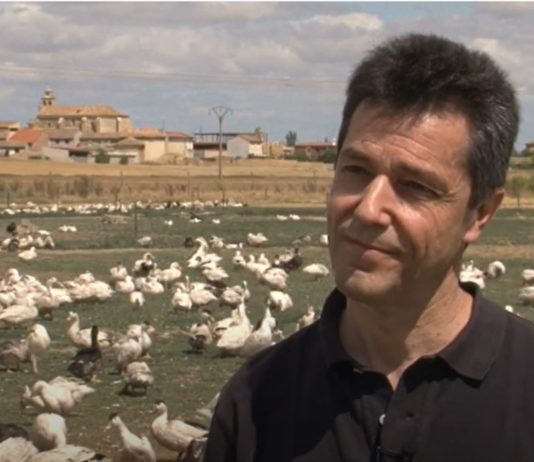 Campo Palentino 11 junio 2020