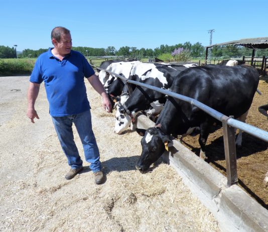 Por la mañana, como todos los días