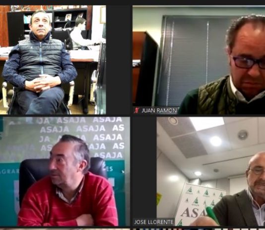 ASAJA critica que se utilicen las previsiones de cosecha como señuelo para hundir los precios, cuando España es deficitaria en cereal