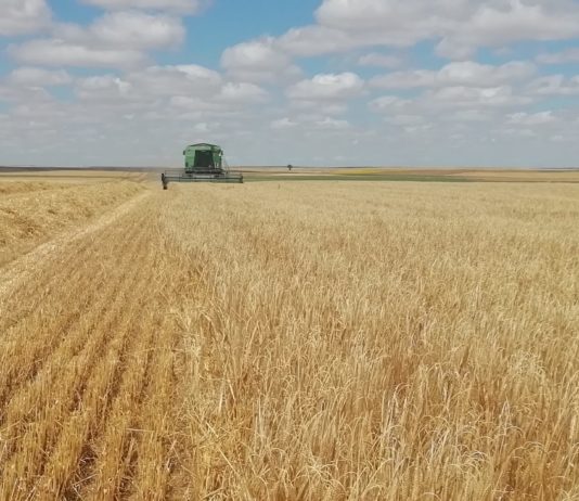 La Junta propone un ecoesquema al Ministerio