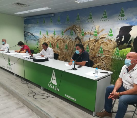 Incertidumbre en el campo por la crisis sanitaria y el futuro de la PAC