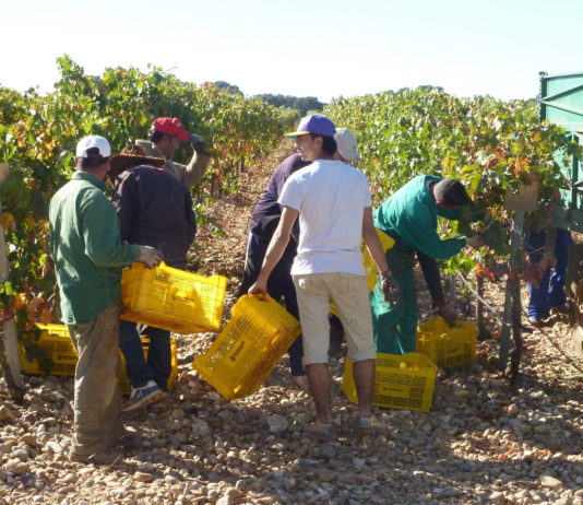 La Comisión pretende recortar el presupuesto destinado a promoción