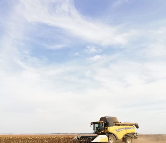 El 1 de julio comienza el período de peligro alto de incendios forestales