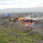ASAJA propondrá en el Consejo Agrario que Castilla y León retome la autorización de quemas controladas en parcelas de rastrojo