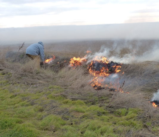 ASAJA propondrá en el Consejo Agrario que Castilla y León retome la autorización de quemas controladas en parcelas de rastrojo