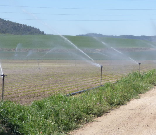 La Junta Directiva de ASAJA rechaza la propuesta de Plan Hidrológico del Duero, que supondría desmantelar buena parte del regadío de Castilla y León