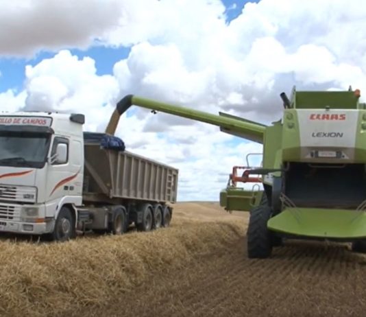 Campo Palentino 22 octubre 2020