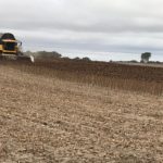 foto-programa-campo-palentino