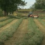 Resueltos los contratos agroambientales