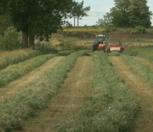 Resueltos los contratos agroambientales