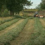 captura-programa-12-nov-2020