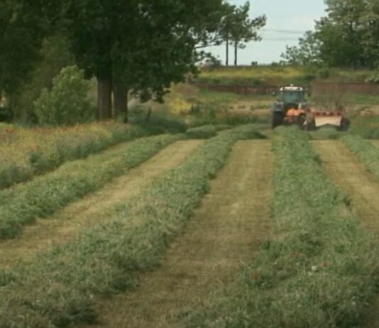 La producción agrícola y ganadera de Palencia superó los 536 millones de euros en 2020