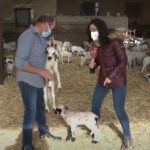 Campo Palentino 26 noviembre 2020