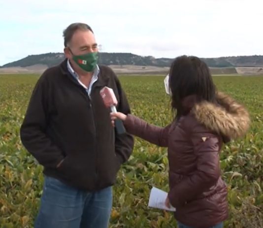 Campo Palentino 5 noviembre 2020