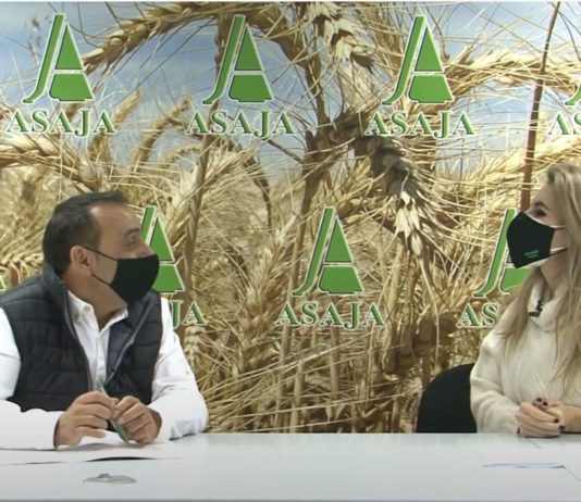 Campo Palentino 17 diciembre 2020