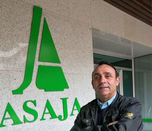 Progreso, sí; tonterías, las justas