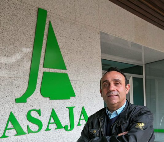 Veintinueve años y seguimos igual