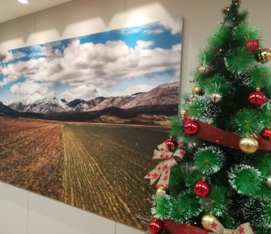 Fallados los premios de cuentos de Navidad de Asaja