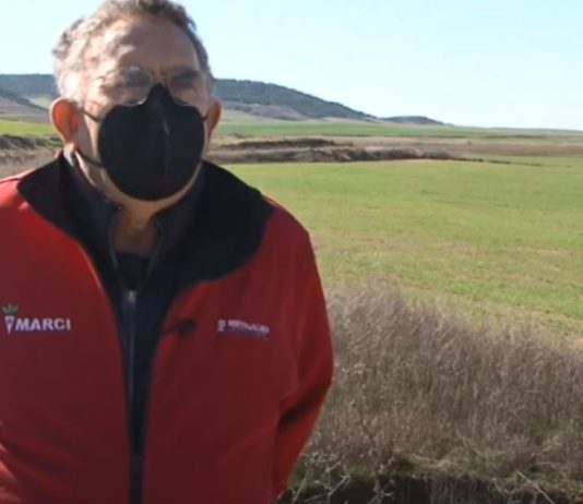 Campo Palentino 25 de febrero de 2021