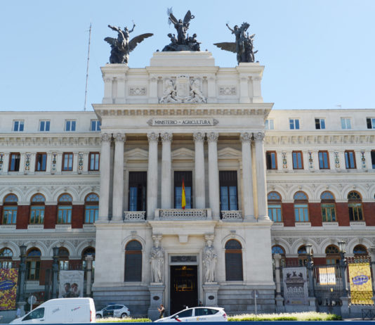 Convocadas ayudas para obtener avales de SAECA