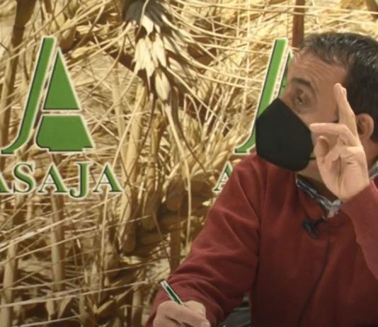 Campo Palentino 4 de febrero de 2021