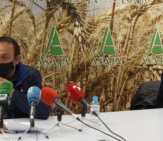 ASAJA-Palencia denuncia el daño del Gobierno al sector ganadero, robándoles sus ingresos de la PAC y legislando en favor del lobo