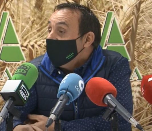 Campo Palentino 11 de febrero de 2021