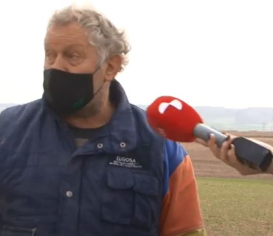 Campo Palentino 4 de marzo de 2021