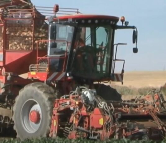 Campo Palentino 18 de marzo de 2021