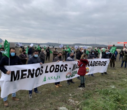 Las opas se manifiestan en favor del ganadero y en contra de la protección del lobo