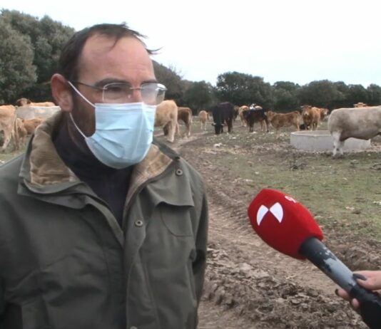 Campo Palentino 25 de marzo de 2021